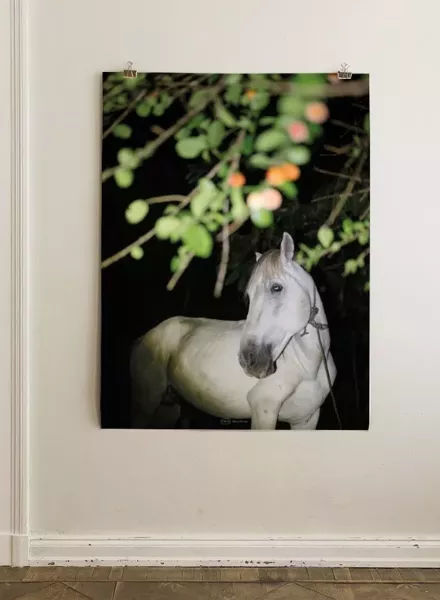 'Real images with backbone and mindfulness' - Marie-Kristin Thiele im Interview über FROM, ihre Plattform für Dokumentarfotografie und wahre Geschichten
