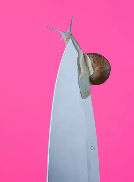 'BLOMMERS & SCHUMM - MID-AIR' Eine fragile Balance zwischen Mode, Kunst und Illusion im FOAM Amsterdam