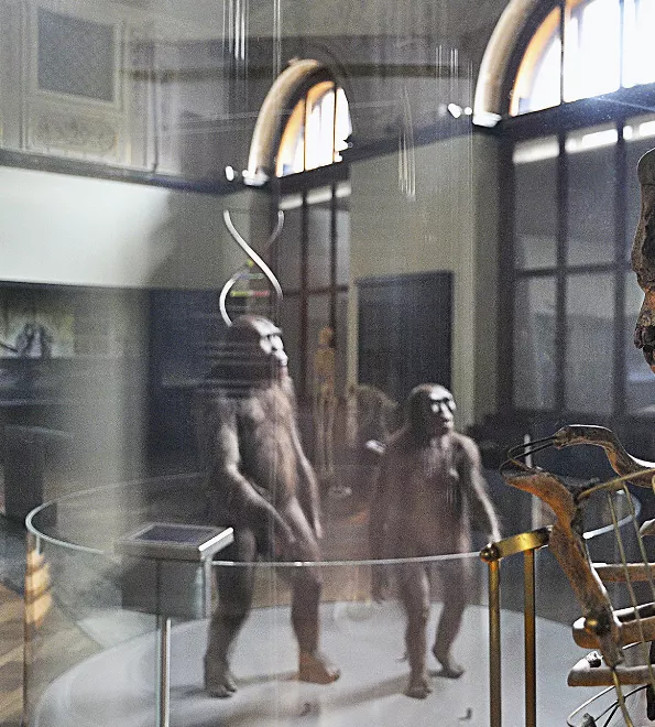 The book 'PRESERVED – A Natural History' by the American artist Dona Jalufka views the Natural History Museum in Vienna from a very special perspective