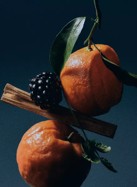 MYSTIKUM PERFUMES – new fragrance collection with stills by Maciek Miloch