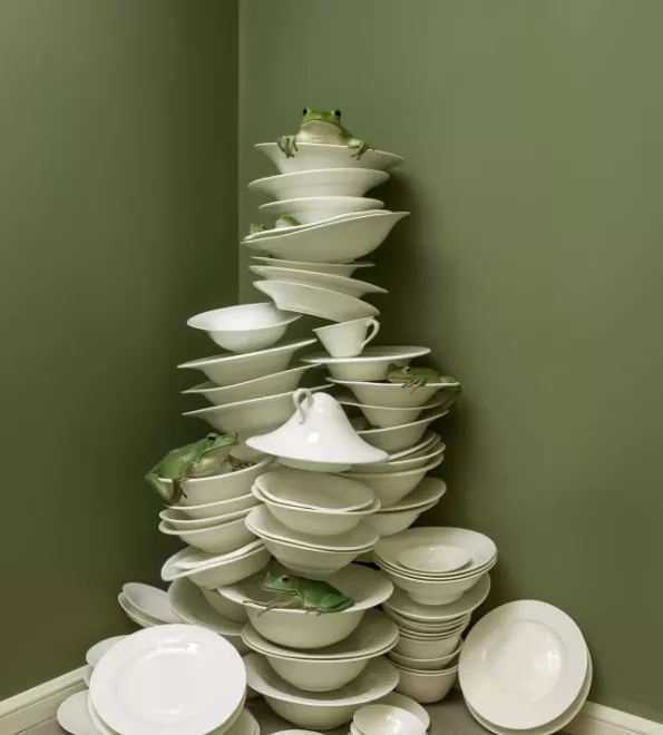 Between foam and fantasy - Pascale Weber presents you with a free 'Frog in motion' AI series