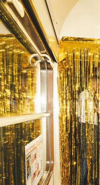 Carnival in Cologne - Alexandra Polina photographed the "Pappnasenexpress" (a special carnival train) for DIE ZEIT