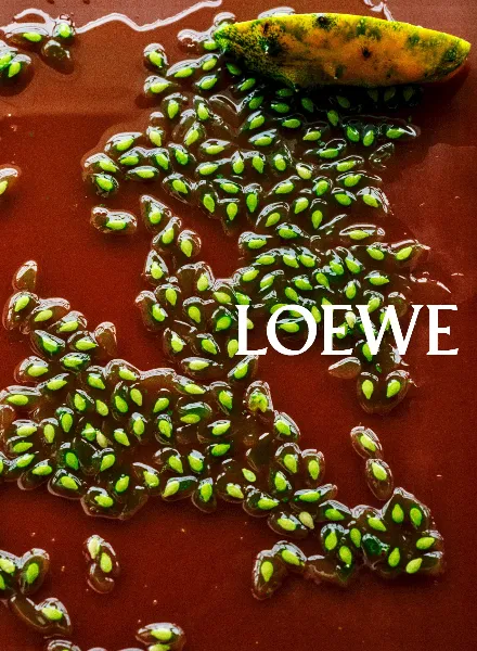 Poetic Stagings Between Sea and Sculpture: Valérie Weill for LOEWE FW26