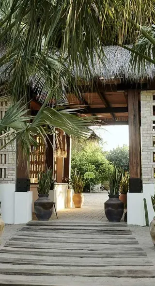 'Eden at Road's End' - Photographer Anne Menke documents the transformation in Puerto Escondido for Travel + Leisure magazine