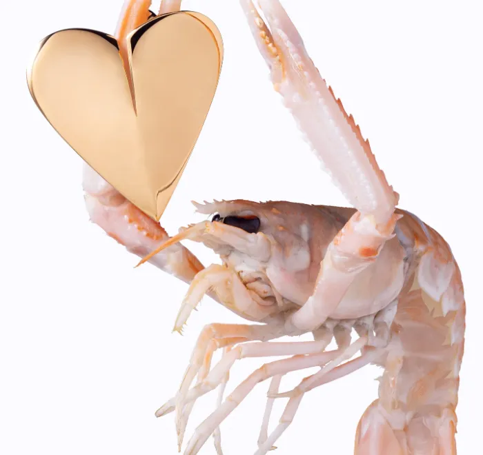 'Prawns Chic' – Seafood meets costume jewelry in this personal project by photographer Magnus Meier-Röbke