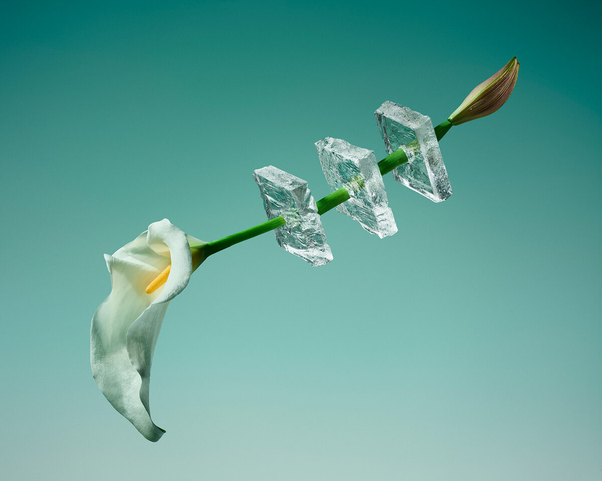 Common Era, London : 'Birduals' Projekt für DLTD-SCENES, 'Freezing Flowers', OFFF's 'Let´s Feed the Future Anual Book', ROYAL BLISS by COCA COLA, Whatever It Takes x Nike, In the World of Play-Doh für DDB Paris
