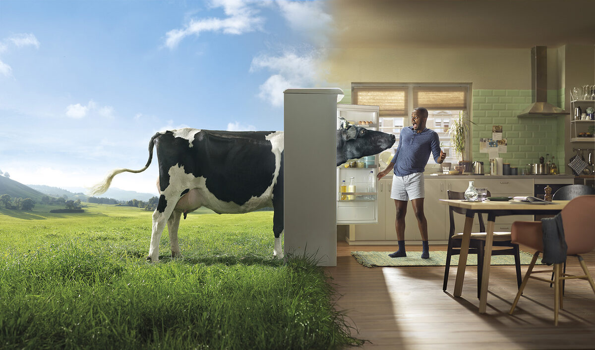 VISUALEYES ARTISTS : COCA-COLA Special Edition with the largest puzzle in Switzerland, the EAMSP campaign (agency: Denkwerk) and KIPLING BAGS, CARTIER in CGI, 3D production for the RENAULT ZOE campaign with Publicis, and the SWISSMILK campaign, …