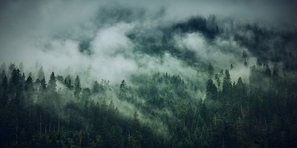 'Cloudy forest' - Personal Work von Thilo Sicheneder, fotografiert in den österreichischen Alpen