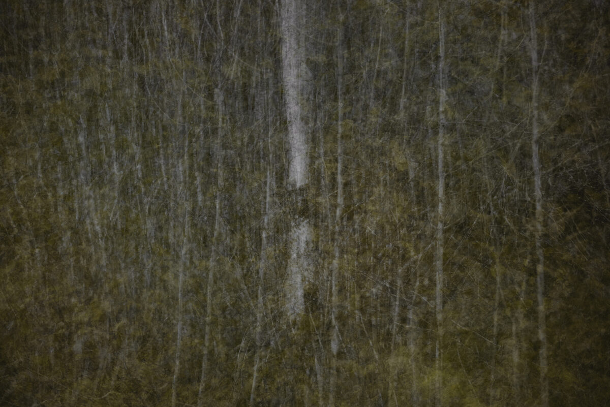 Between photography and painting – Willem Lund presents conceptional landscape photography in his GoSeeSHOP