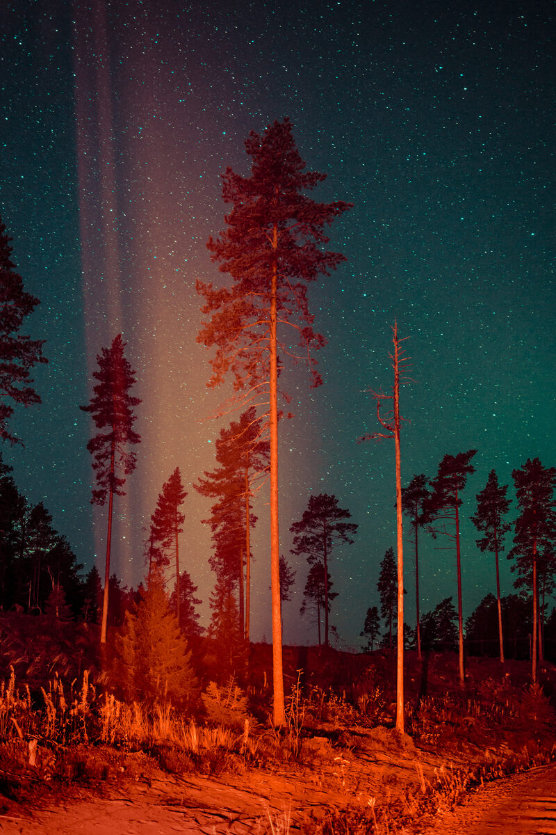 GOSEE LOVES : <b>‘Some Kind of Heavenly Fire’ – Maria Lax</b> looks for answers in the supernatural Finland of her grandfather for her first photobook