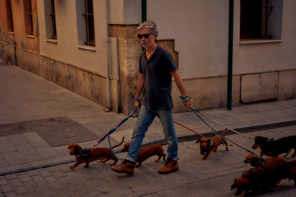 ‘Picking Oranges’ – a personal spread shot by <b>Lars BORGES c/o EMEIS DEUBEL</b> last year in Valencia