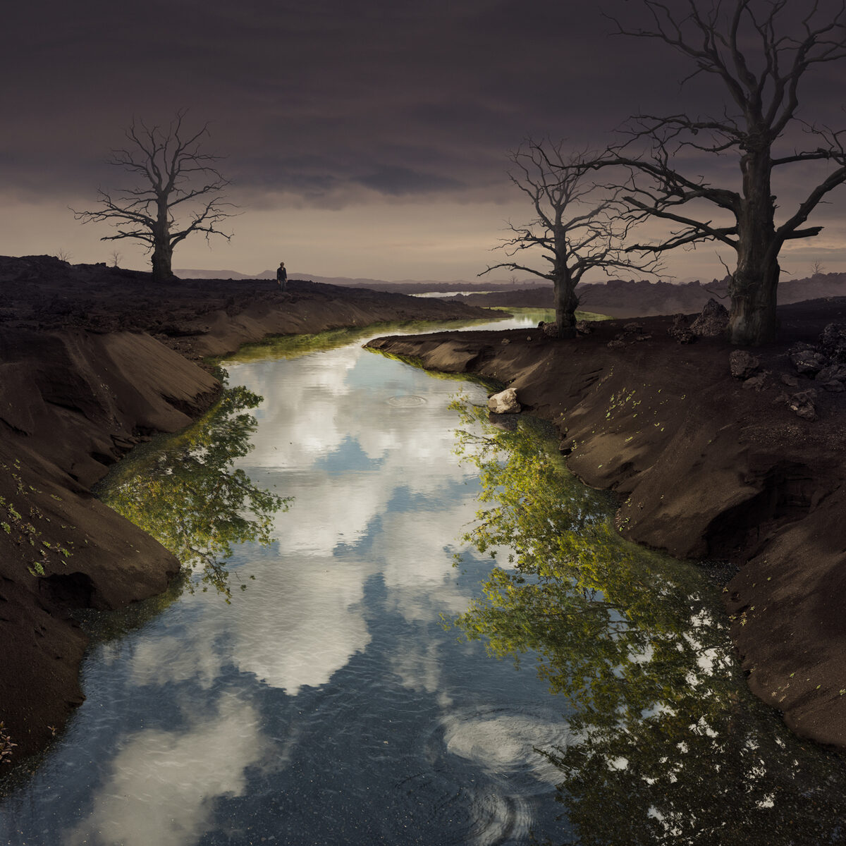 <b>Erik JOHANSSON c/o AGENT MOLLY &amp; CO</b> presents his album artwork for the band PINK FLOYD plus his two new works ‘Stuck Inside’ &amp; ‘The Reset’
