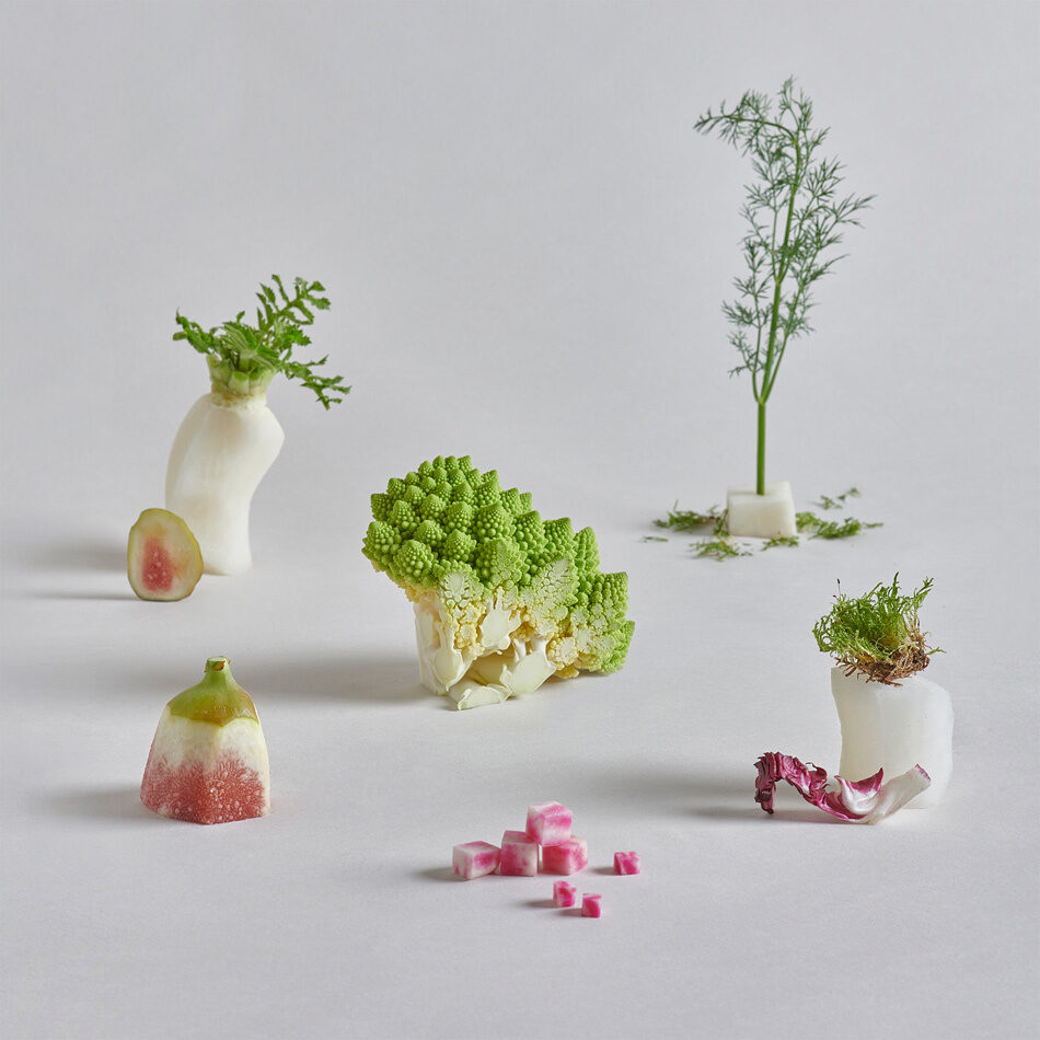<b>KLAUS STIEGEMEYER</b> : A warm welcome to <b>Tom Medici</b>, still life photographer and artist