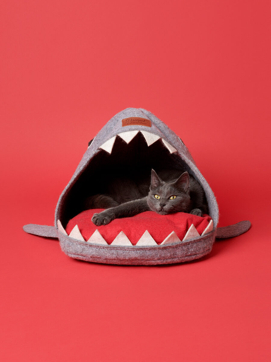 ‘For Cats Only’ – daily observations on a cat tree in aesthetic studio shots by PASCALE WEBER now in an illustrated book at Hatje Cantz and a preview on GoSee
