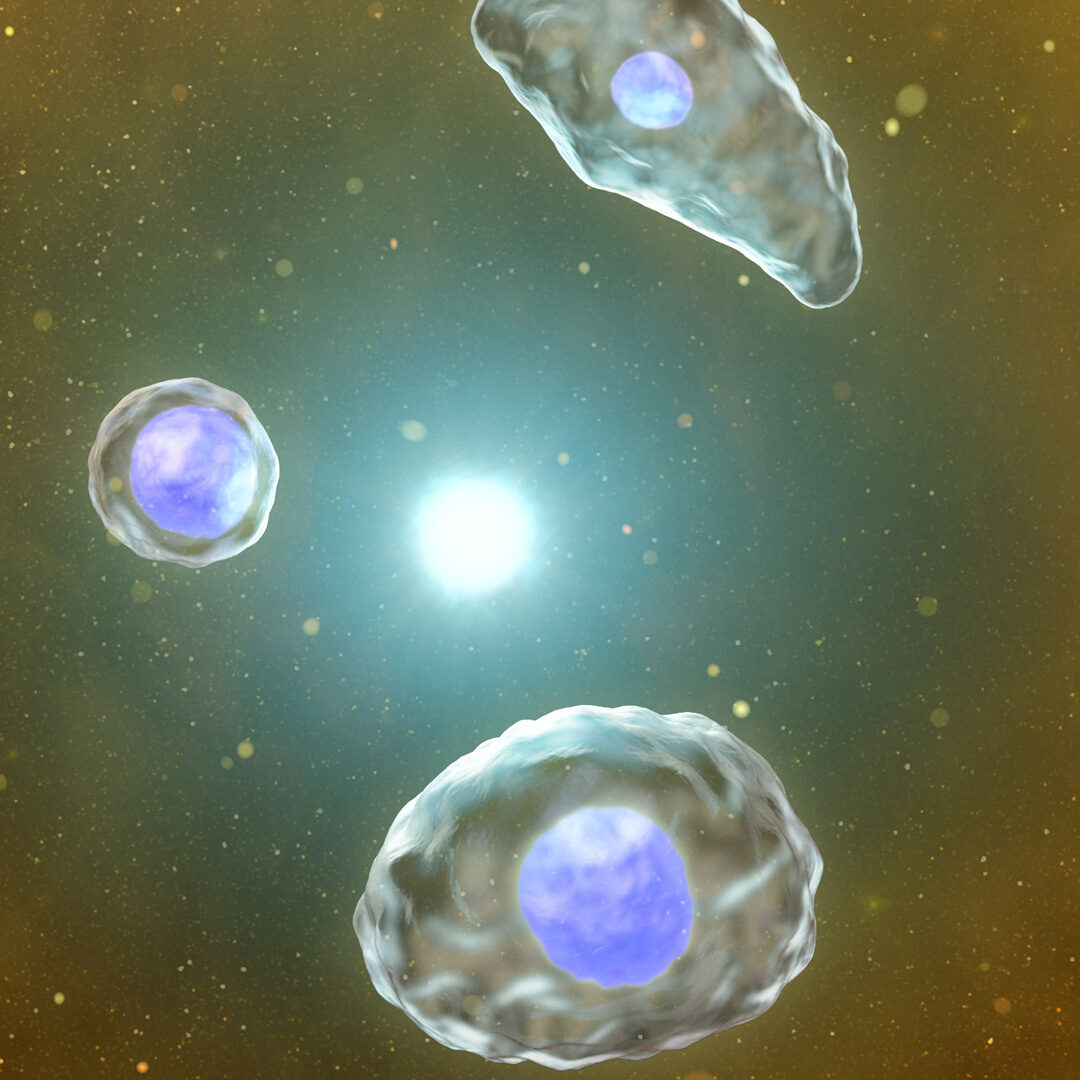 'Vier Galaxien der Urindiagnostik' - hyperrealistische 3D Illustrationen von Eiweißen, Bakterien und Blutkörperchen als faszinierendes Panorama von Armin SCHIEB c/o SEPIA für SYSMEX
