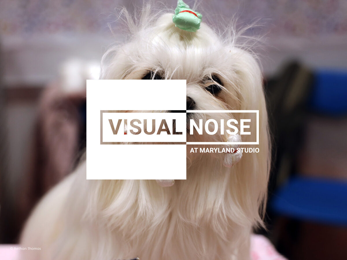 VISUAL NOISE at MARYLAND STUDIO : Go&See the NEXT GENERATION of PHOTOGRAPHY VOICES exhibit with RANKIN