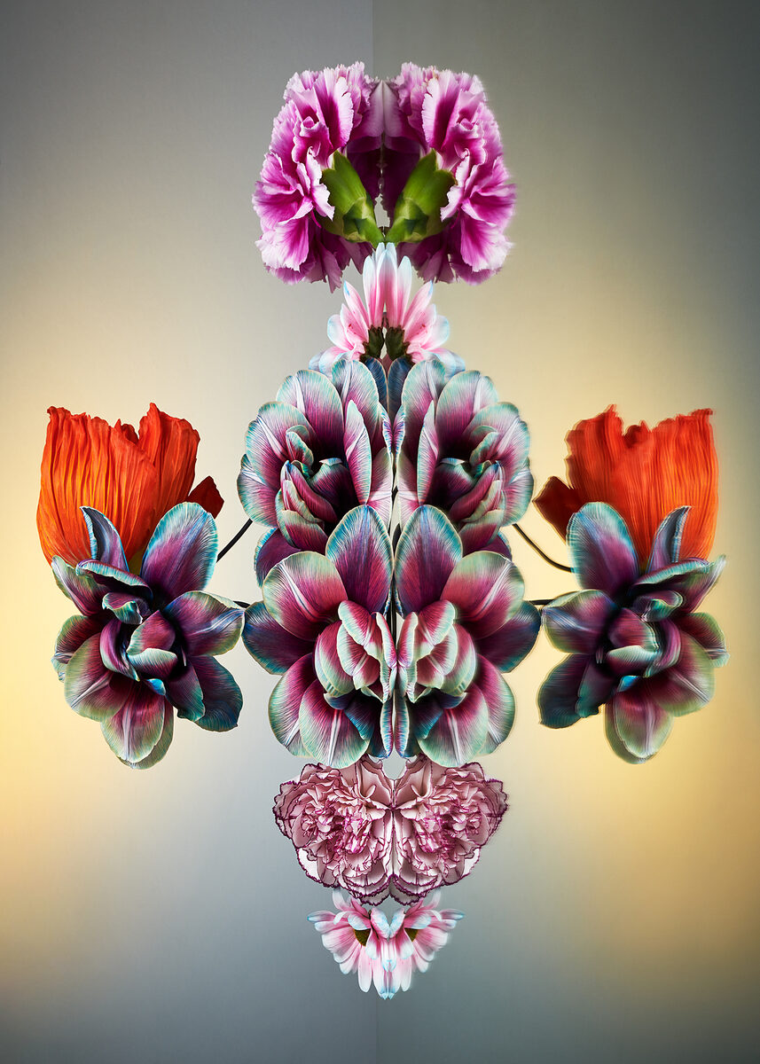 ‘Florescence’ – fine art project by set designer Linnea APELQVIST and still life photographer Christoffer DALKARLS c/o AGENT MOLLY & CO on GoSee NEWS