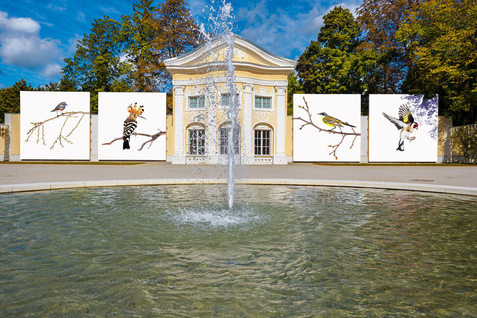 The <b>Festival La Gacilly-Baden Photo </b>is <b>NORTHBOUND!</b> in 2022 – for the fifth time, <b>EDITION LAMMERHUBER </b>is bringing the largest outdoor photo festival in Europe to Baden near Vienna from 9 June to 16 October, 2022
