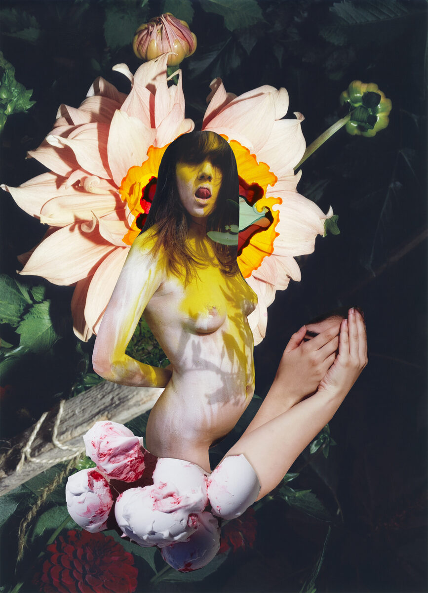 GoSee Book Tip : <b>‘Modern Alchemy’ by Viviane Sassen &amp; Emanuele Coccia</b> (JBE Books &amp; Perrier-Jouët) – a philosophical photo book with a new take on the magic of nature