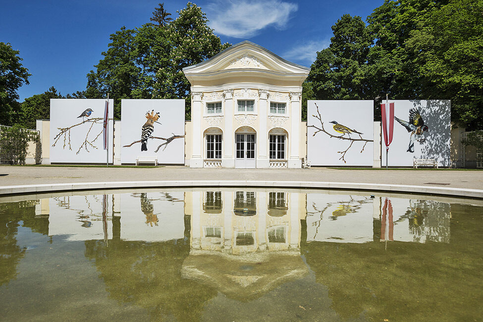 Record number of visitors at the open-air <b>Photo Festival in La Gacilly-Baden</b> near Vienna – photo art and garden art melt into a carbon-neutral visitor magnet