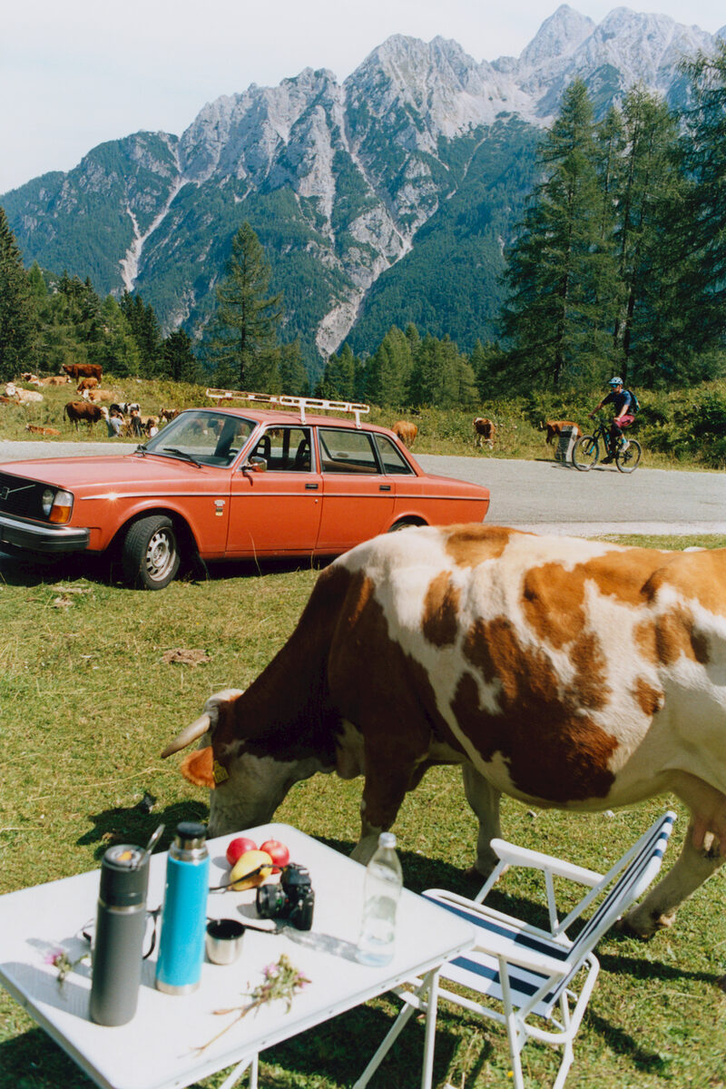 ‘High Enough’ CLOSED Spring 2023 campaign in Slovenia - fashion production by Jonas UNGER c/o BIRD PRODUCTION between mountains and cattle pastures, plus BIRD at UPDATE-23-BERLIN