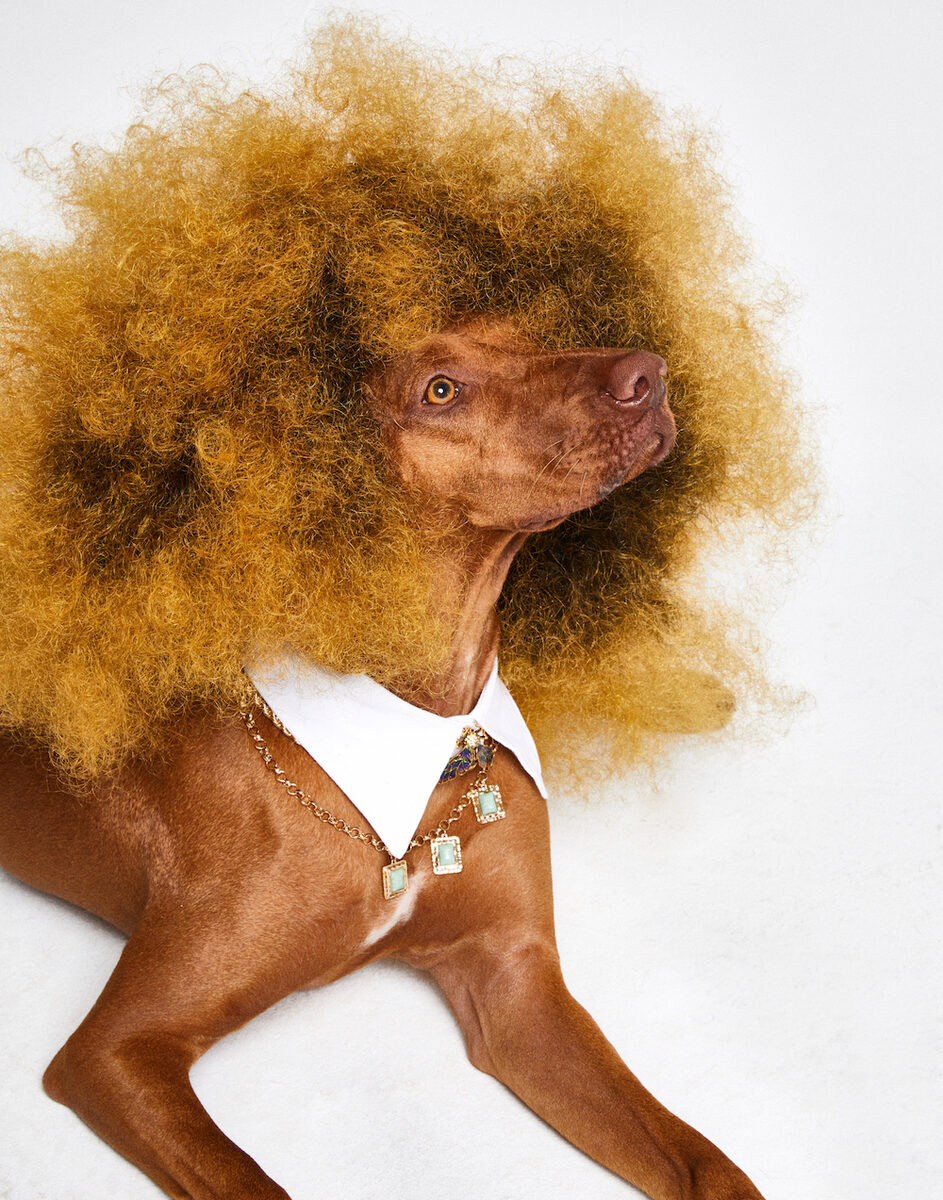Dirk BADER c/o AVENGER PHOTOGRAPHERS with a howling editorial in ELLE Bulgaria