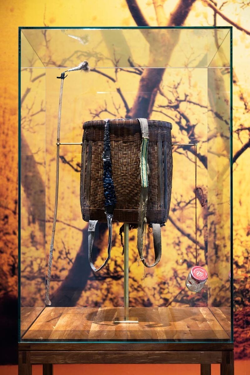<b>Maximilian Prüfer ‘Fruits of Labour’ </b>- a project about insect mortality and the endangerment of biodiversity – as an <b>illustrated book at Kerber Publishing</b> and an <b>exhibition at Weltmuseum Wien</b>