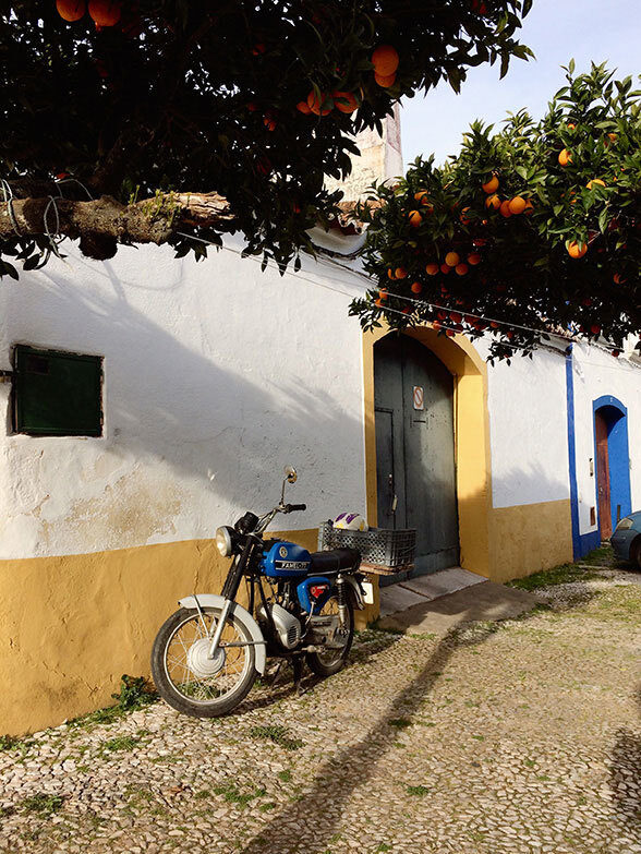 VOGUE Ukraine, HARPER’S BAZAAR Arabia, JEEP, … KRISTINA KORB presents a best-of Christoph Klutsch on GoSee.News … plus NEW entry Lilli Persson, Food, Vienna