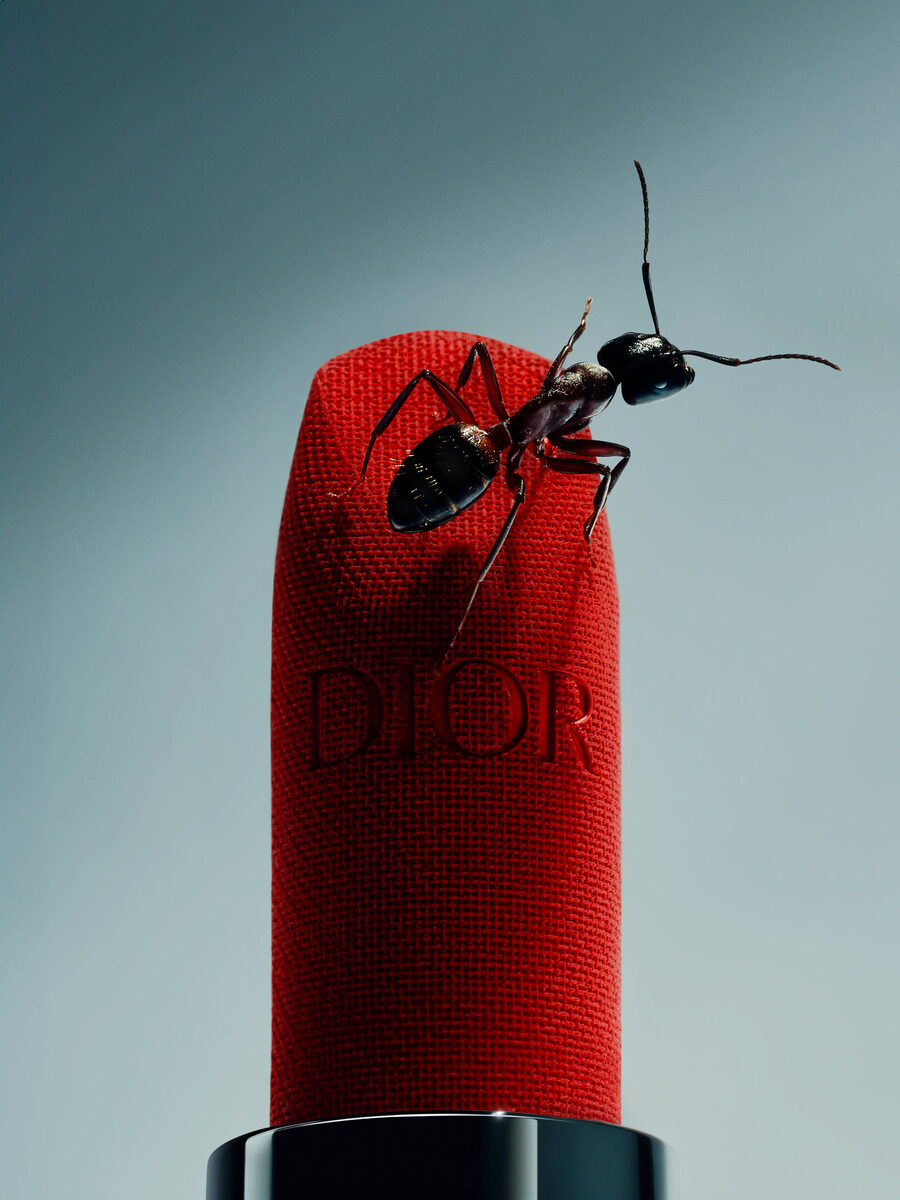 NEW at GoSee : <b>QUENTIN DÉCAILLET</b>, Stills, Swiss Alps; We show you his personal work <b>'Beauty in the Smallest Details</b> ' which captures the journey of an ant on a Dior lipstick