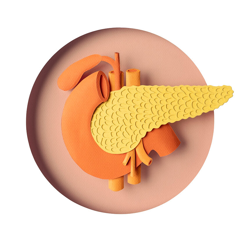 'The Power of Hormones' illustrated by WRK c/o 2AGENTEN for AOK MAGAZIN