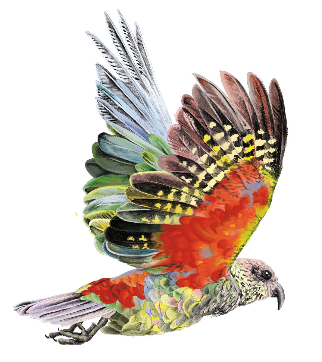 Welcome to the Urban Jungle – NINETYNINE HOTELS with Jungle & Wildlife Illustrations by Romina ROSA c/o 2AGENTEN