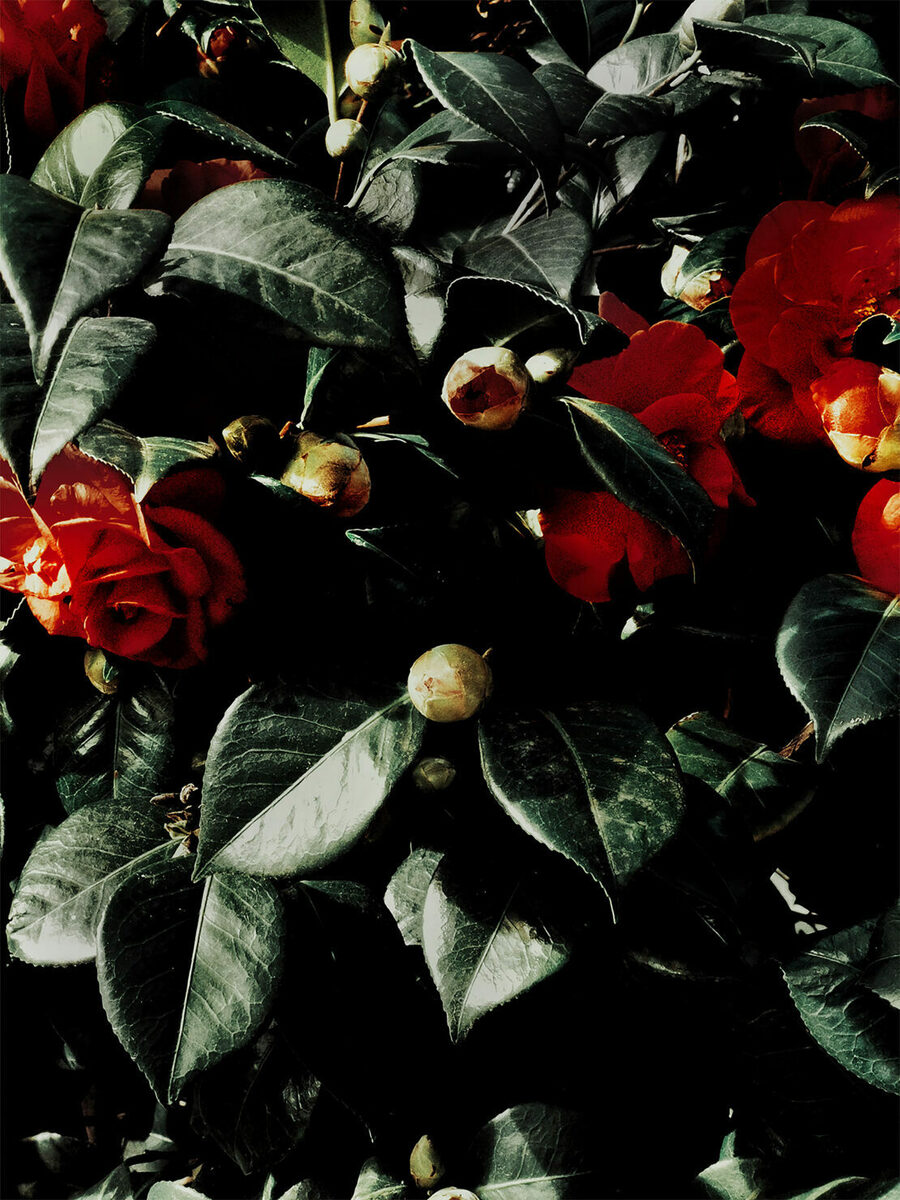 <b>MAKING PICTURES</b>, <b>agency from London, Vancouver &amp; Los Angeles</b>, presents you current work on gosee.news -- and meet the agency in XXL as an exhibitor at <b>UPDATE-25-BERLIN</b>