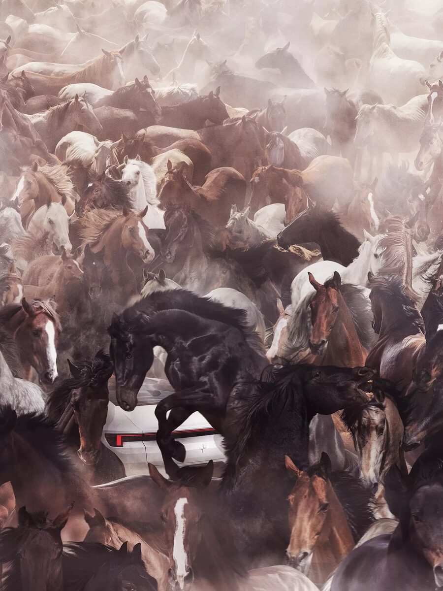 <b>SUPERSTUDIO </b>presents a new motif for <b>POLESTAR</b>, photographed by <b>Patrik Johall</b>