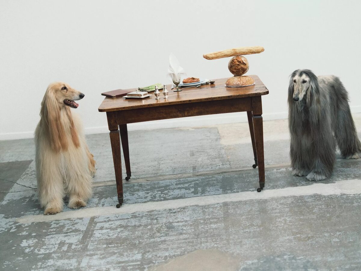 THE MENU is winter's best dish! - <b>JPPS CREATIVE PRODUCTIONS</b> produces the Fall/Winter '25 campaign in photo and film for the Amsterdam-based fashion label<b> FABIENNE CHAPOT</b>