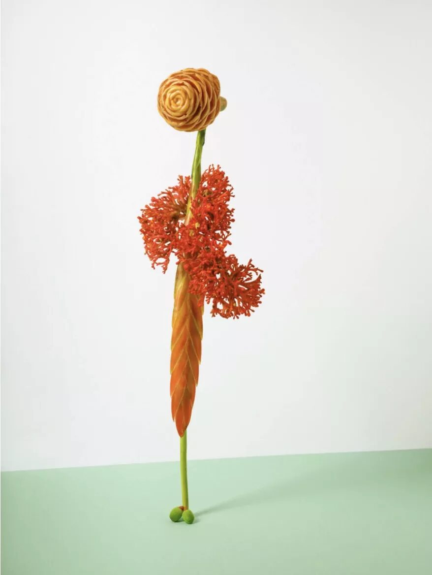 Anzenberger Gallery&nbsp;presents 'FLOWERS AND TREES' group exhibition in Vienna