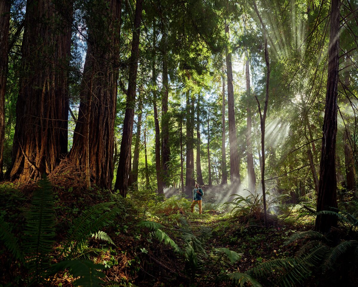 â€œ1,000,000 Miles for Tremfyaâ€ â€“ Alex Telfer captures the spectacular landscapes of Northern California
