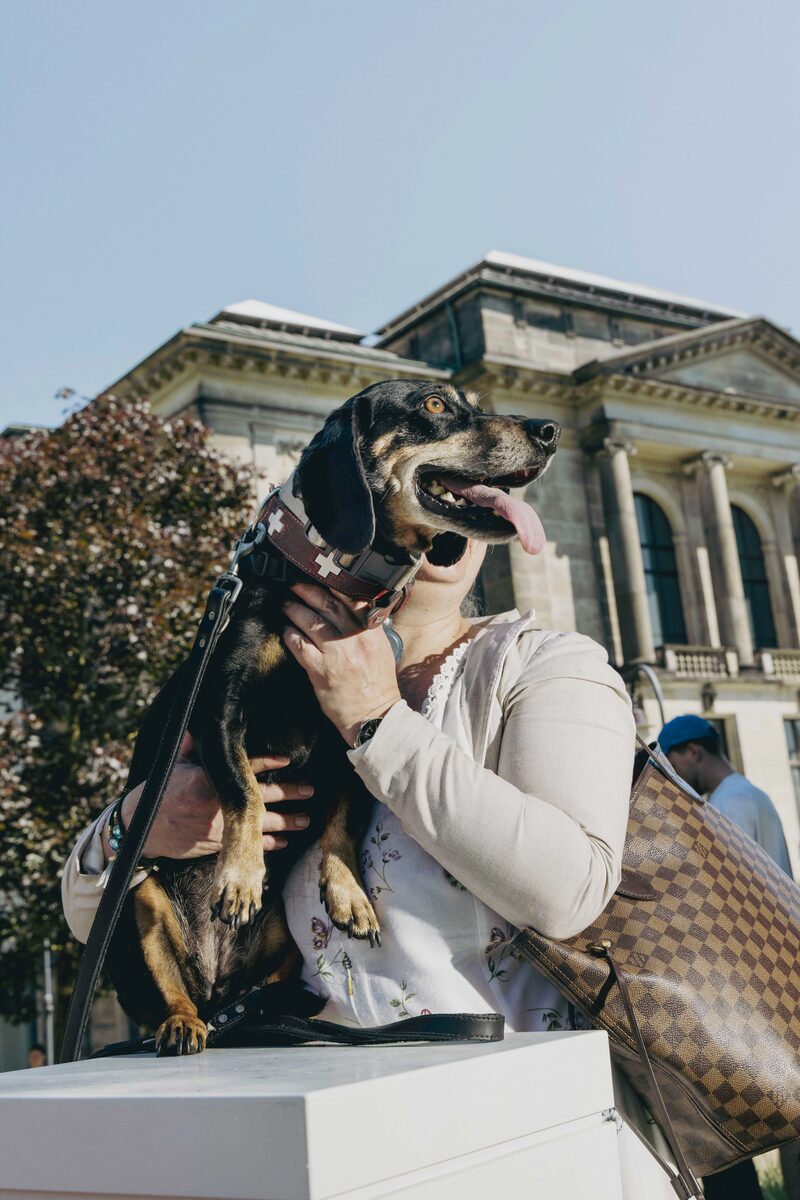 World Dachshund Day - Spiegel Magazine celebrates the world's most popular four-legged friend with photos by Alexandra Polina