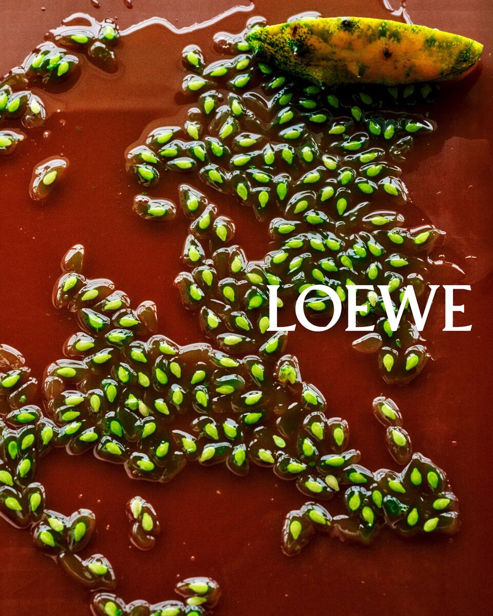 Poetic Stagings Between Sea and Sculpture: Valérie Weill for LOEWE FW26