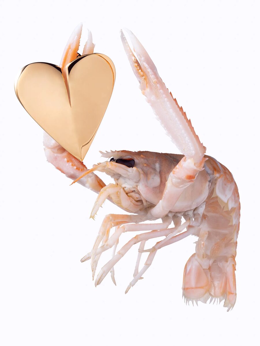 'Prawns Chic' – Seafood meets costume jewelry in this personal project by photographer Magnus Meier-Röbke
