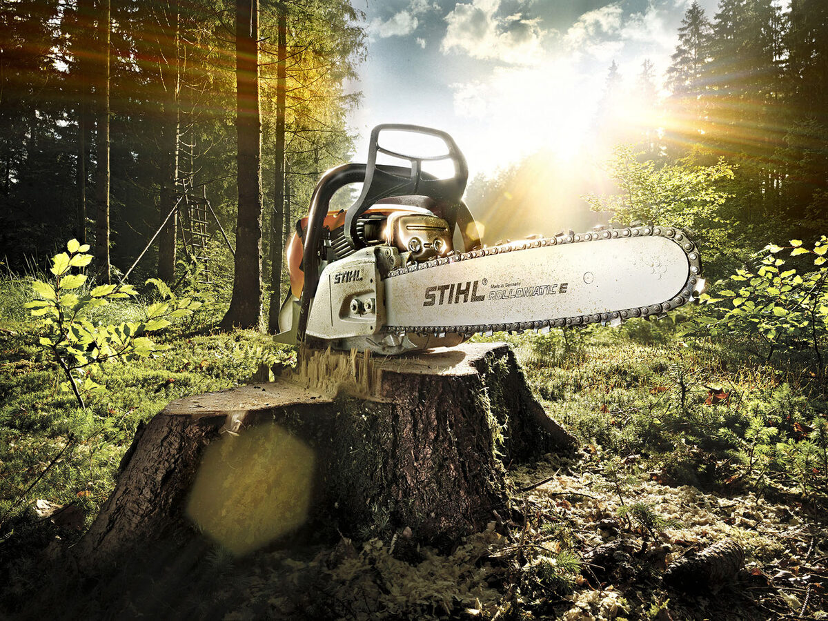 Marcus Philipp Sauer : durch die tiefen Wälder Sloweniens für den Jahreskatalog der Maschinenmarke STIHL und Publicis