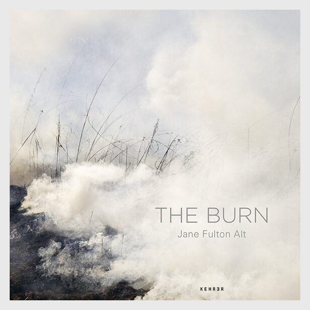 GoSee book recommendation: <b>Jane Fulton Alt - The Burn</b>