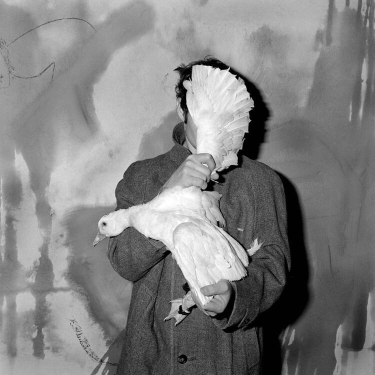 GoSee loves .... <b>Asylum of the Birds</b> - new project by South African Roger Ballen film on GoSee and book by Thames&amp;Hudson
