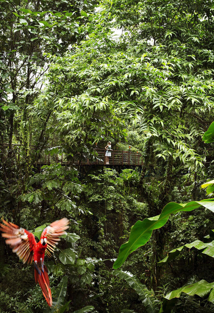 The cover for the Costa Rica special edition issue of TRAVEL+LEISURE magazine – pictures by <b>Blasius ERLINGER</b>