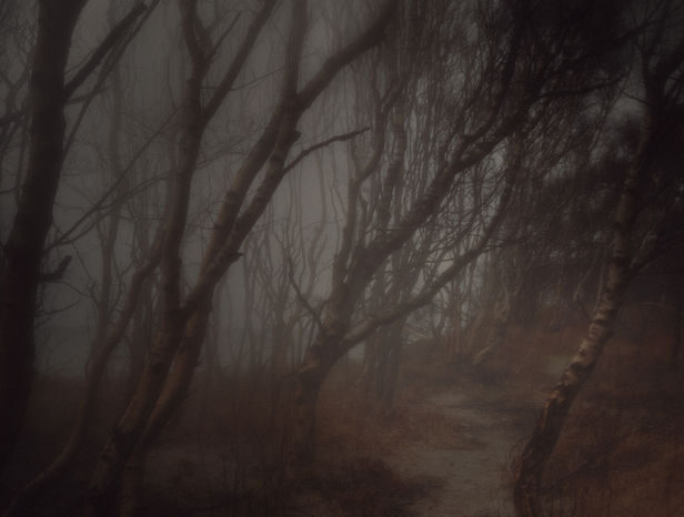 GoSeeAWARDS14 : LANDSCAPE