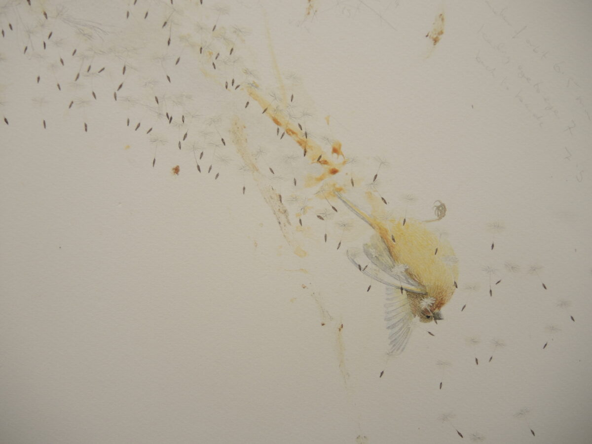 ART COLOGNE 2015 bzw. Thaddaeus Ropac, Galerie Zwirner, Carsten Greve, Bo Bjerggaard, .... einige eingesammelte Stimmen und Eindrücke für Euch auf GoSee