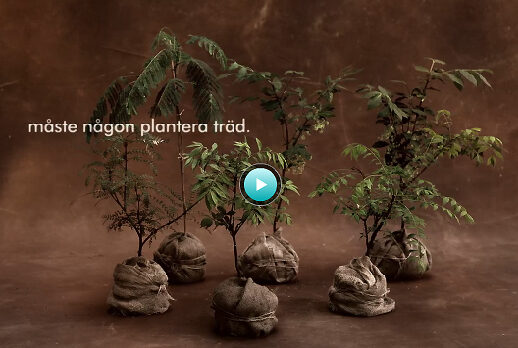 100% climate-neutral is the claim of ARVID NORDQVIST's CLASSIC coffee spot filmed by <b>Carl BENGTSSON</b>