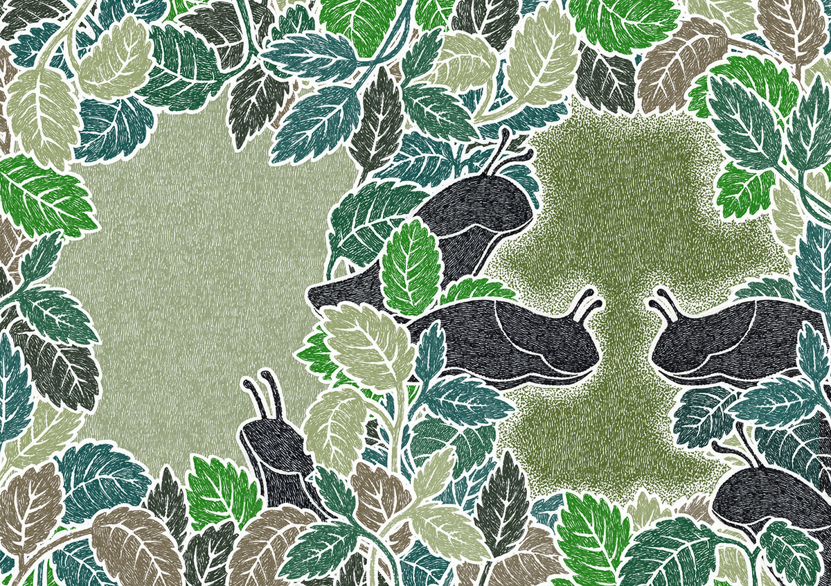 NOVELLIX bestseller with new illustrated covers by Malin ROSENQVIST c/o Agent Molly
