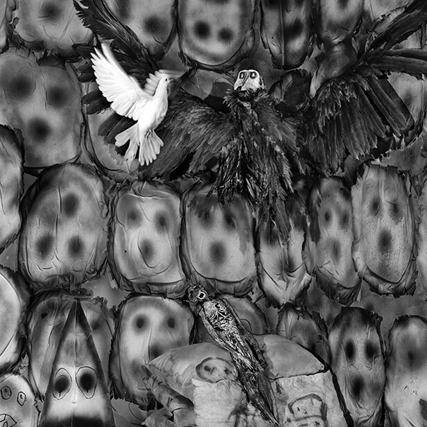 Where our mind is at home - <b>'The House Project'</b>, a poetic interpretation with photos and words by Roger Ballen and Didi Bozzini at Oodee Publishing
