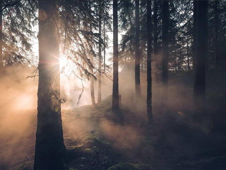 Sweden and the midnight sun, captured by AGENT MOLLY artist Stefan ISAKSSON for VOLVO