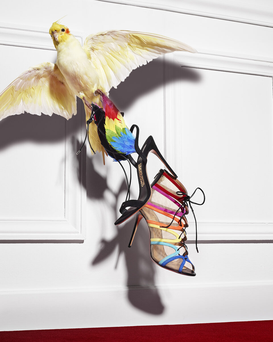 Feather-light shoes made by FERRAGAMO in VOGUE Russia – the motif by Michael BRUNN c/o STILLSTARS